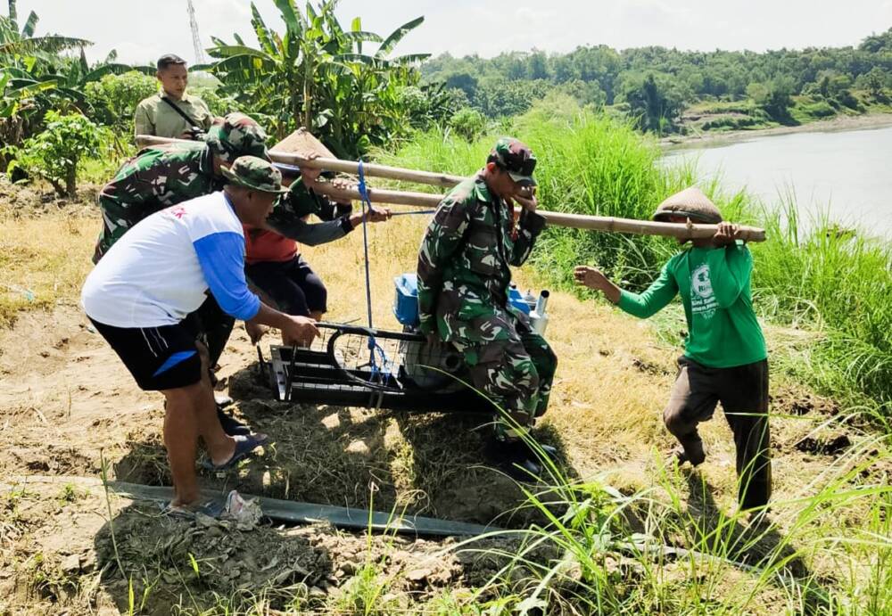 Babinsa Kodim Bojonegoro Bantu Petani, Sukseskan Program Pompanisasi Kementan