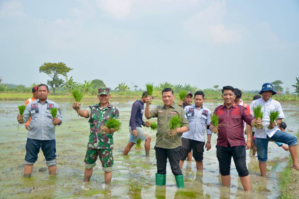 Lapas Lamongan Tanam Padi Organik Varietas Unggul