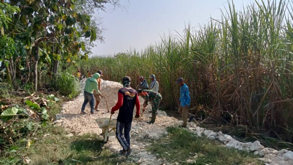 Babinsa Koramil Bluluk dan Warga Gotong-royong Perbaiki Akses Jalan Pertanian